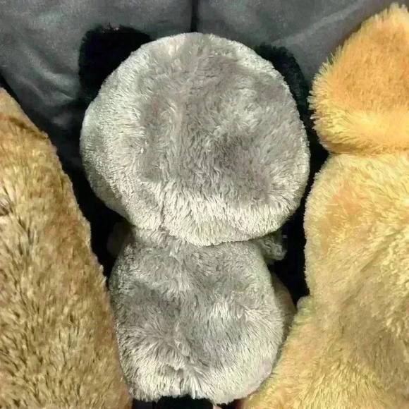 Beanie boo lot of 3 Ida Rocco and Nacho  2 with tags - Picture 6 of 7